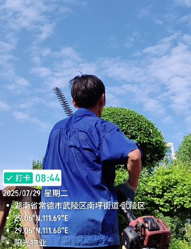 常德物業管理,物業企業,陽光物業