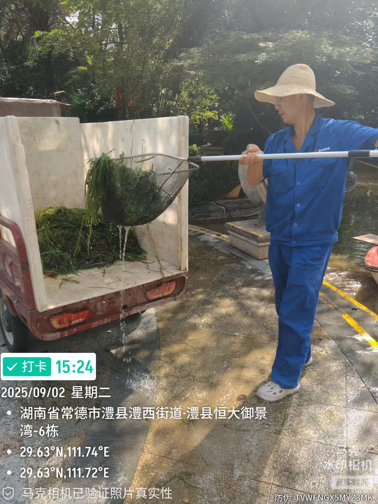 常德物業管理,物業企業,陽光物業